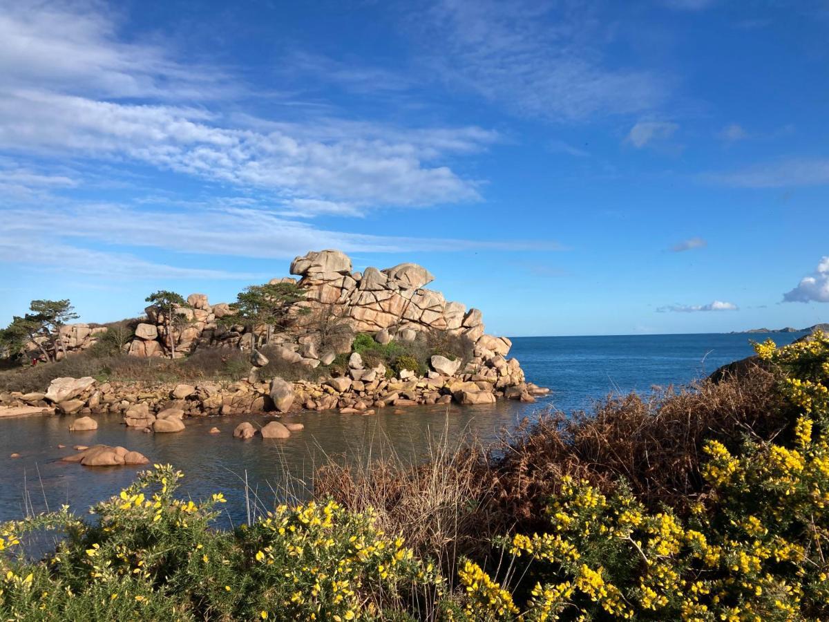 Les Hortensias A 50 M De La Plage De Trestraou Perros-Guirec Exterior photo